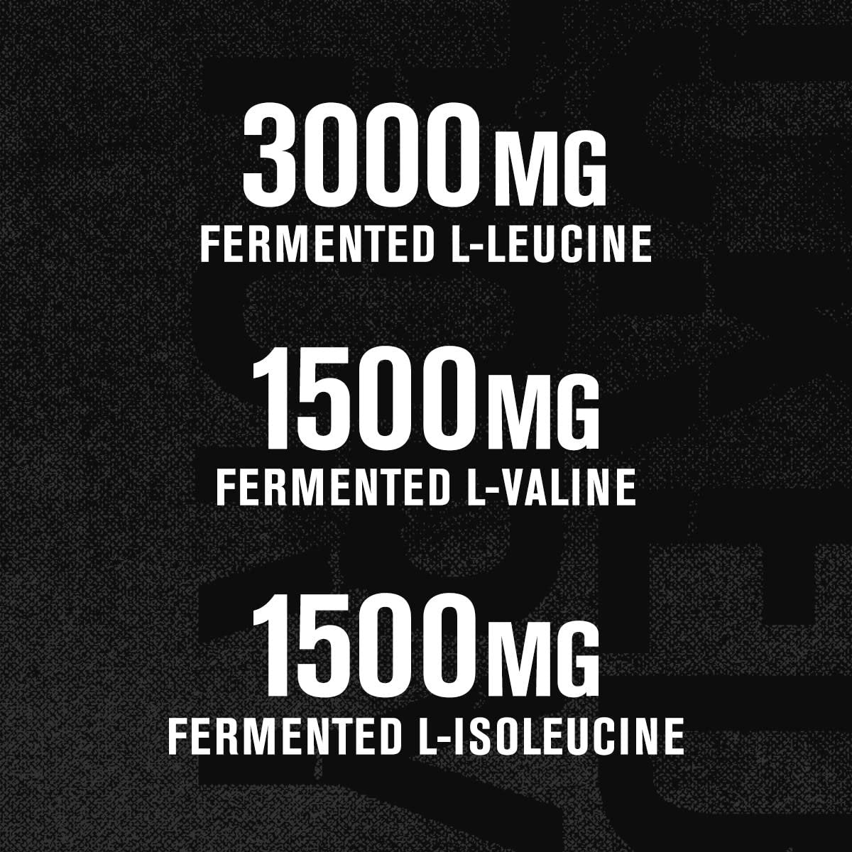 Jacked Factory BCAA Pulver (Fermentiert) - 6 g verzweigtkettige essentielle Aminosäuren für verbesserte Muskelregeneration, reduzierte Ermüdung, gesteigerte Kraft und Muskelwachstum - 30 Portionen, Fruchtpunsch