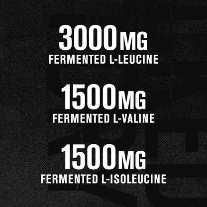 Jacked Factory BCAA Pulver (Fermentiert) - 6 g verzweigtkettige essentielle Aminosäuren für verbesserte Muskelregeneration, reduzierte Ermüdung, gesteigerte Kraft und Muskelwachstum - 30 Portionen, Fruchtpunsch