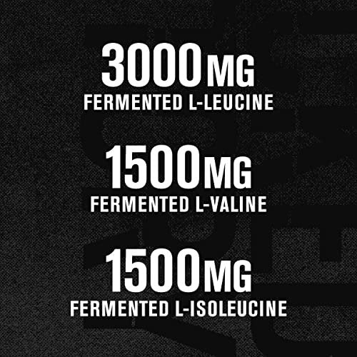 Jacked Factory BCAA Pulver (Fermentiert) - 6 g verzweigtkettige essentielle Aminosäuren für verbesserte Muskelregeneration, reduzierte Ermüdung, gesteigerte Kraft und Muskelwachstum - 30 Portionen, Fruchtpunsch