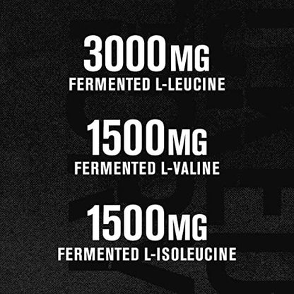 Jacked Factory BCAA Pulver (Fermentiert) - 6 g verzweigtkettige essentielle Aminosäuren für verbesserte Muskelregeneration, reduzierte Ermüdung, gesteigerte Kraft und Muskelwachstum - 30 Portionen, Fruchtpunsch