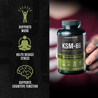 Jacked Factory Ashwagandha Root Extract (KSM-66 Ashwagandha) mit 5 % Withanoliden – Nahrungsergänzungsmittel für natürlichen Stressabbau, kognitive Funktion, Vitalität und Stimmungsunterstützung – 60 vegane Kapseln