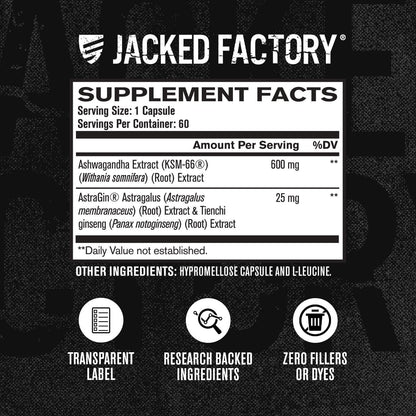 Jacked Factory Ashwagandha Root Extract (KSM-66 Ashwagandha) mit 5 % Withanoliden – Nahrungsergänzungsmittel für natürlichen Stressabbau, kognitive Funktion, Vitalität und Stimmungsunterstützung – 60 vegane Kapseln
