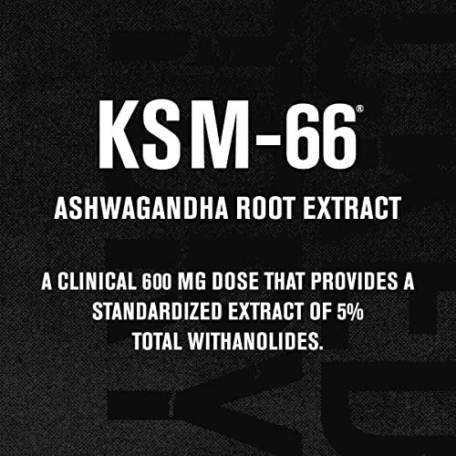 Jacked Factory Ashwagandha Root Extract (KSM-66 Ashwagandha) mit 5 % Withanoliden – Nahrungsergänzungsmittel für natürlichen Stressabbau, kognitive Funktion, Vitalität und Stimmungsunterstützung – 60 vegane Kapseln