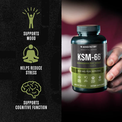 Jacked Factory Ashwagandha Root Extract (KSM-66 Ashwagandha) mit 5 % Withanoliden – Nahrungsergänzungsmittel für natürlichen Stressabbau, kognitive Funktion, Vitalität und Stimmungsunterstützung – 60 vegane Kapseln