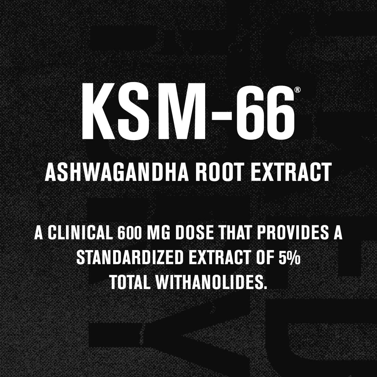 Jacked Factory Ashwagandha Root Extract (KSM-66 Ashwagandha) mit 5 % Withanoliden – Nahrungsergänzungsmittel für natürlichen Stressabbau, kognitive Funktion, Vitalität und Stimmungsunterstützung – 60 vegane Kapseln