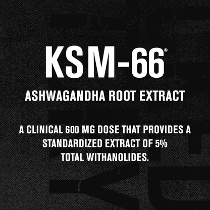 Jacked Factory Ashwagandha Root Extract (KSM-66 Ashwagandha) mit 5 % Withanoliden – Nahrungsergänzungsmittel für natürlichen Stressabbau, kognitive Funktion, Vitalität und Stimmungsunterstützung – 60 vegane Kapseln