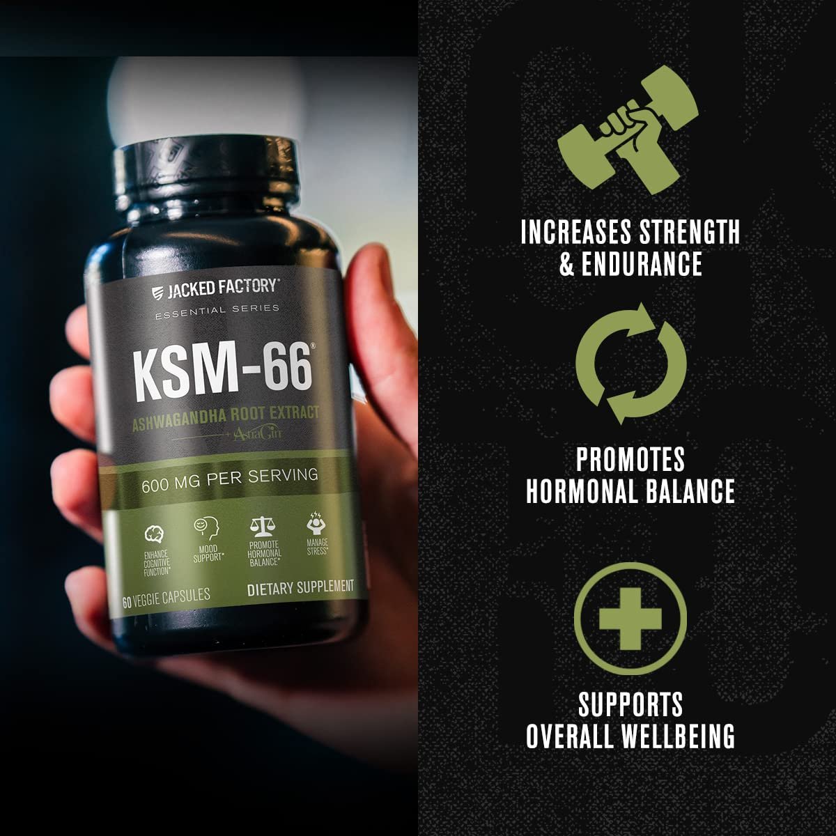 Jacked Factory Ashwagandha Root Extract (KSM-66 Ashwagandha) mit 5 % Withanoliden – Nahrungsergänzungsmittel für natürlichen Stressabbau, kognitive Funktion, Vitalität und Stimmungsunterstützung – 60 vegane Kapseln