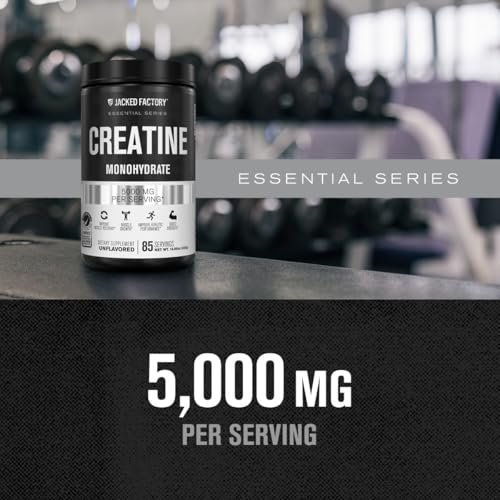 Jacked Factory Creatine Monohydrat Pulver 425g - 5g tägliches Creatin für Männer und Frauen, vegan, drittanbietergeprüft - 85 Portionen, ungesüßt