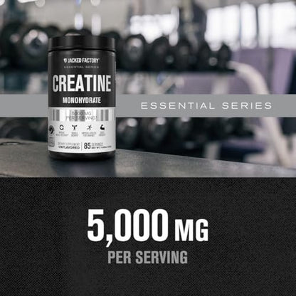 Jacked Factory Creatine Monohydrat Pulver 425g - 5g tägliches Creatin für Männer und Frauen, vegan, drittanbietergeprüft - 85 Portionen, ungesüßt