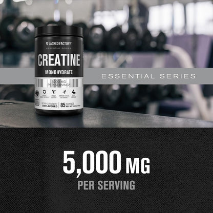 Jacked Factory Creatine Monohydrat Pulver 425g - 5g tägliches Creatin für Männer und Frauen, vegan, drittanbietergeprüft - 85 Portionen, ungesüßt