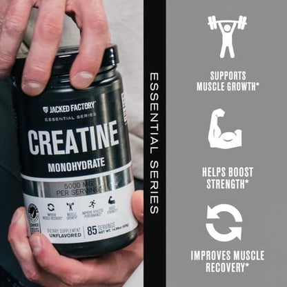 Jacked Factory Creatine Monohydrat Pulver 425g - 5g tägliches Creatin für Männer und Frauen, vegan, drittanbietergeprüft - 85 Portionen, ungesüßt