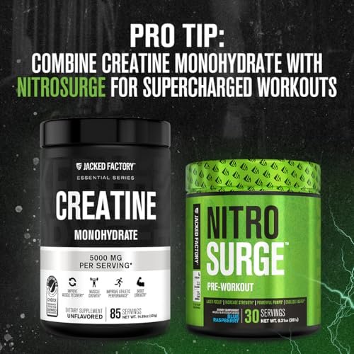 Jacked Factory Creatine Monohydrat Pulver 425g - 5g tägliches Creatin für Männer und Frauen, vegan, drittanbietergeprüft - 85 Portionen, ungesüßt