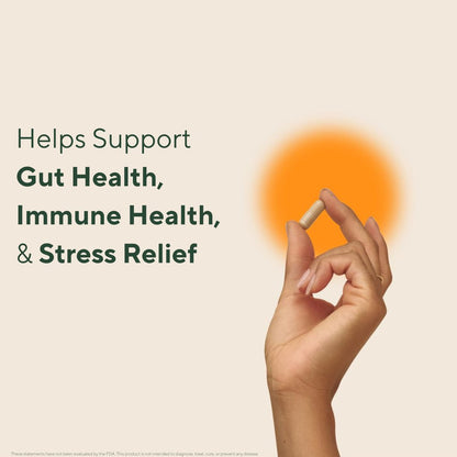 Om Master Blend Bio-Pilzkapseln - Organisches Pilzpräparat mit 10 Pilzen und Ashwagandha – Unterstützt Immunsystem, Darmgesundheit & Stressabbau, 84 Kapseln (28 Portionen)