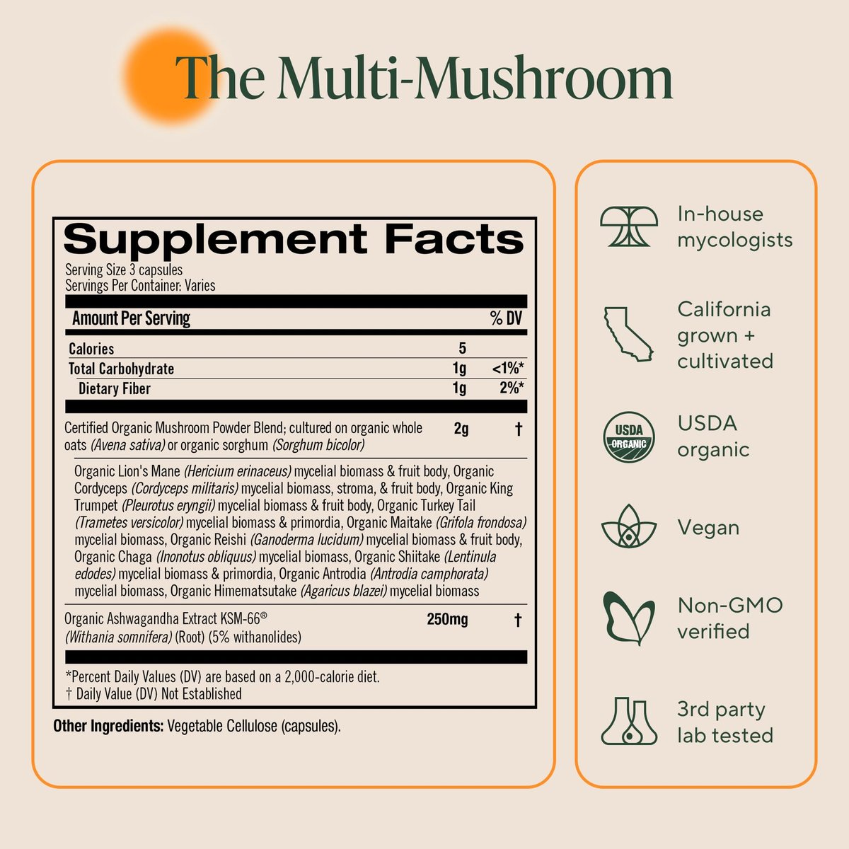 Om Master Blend Bio-Pilzkapseln - Organisches Pilzpräparat mit 10 Pilzen und Ashwagandha – Unterstützt Immunsystem, Darmgesundheit & Stressabbau, 84 Kapseln (28 Portionen)