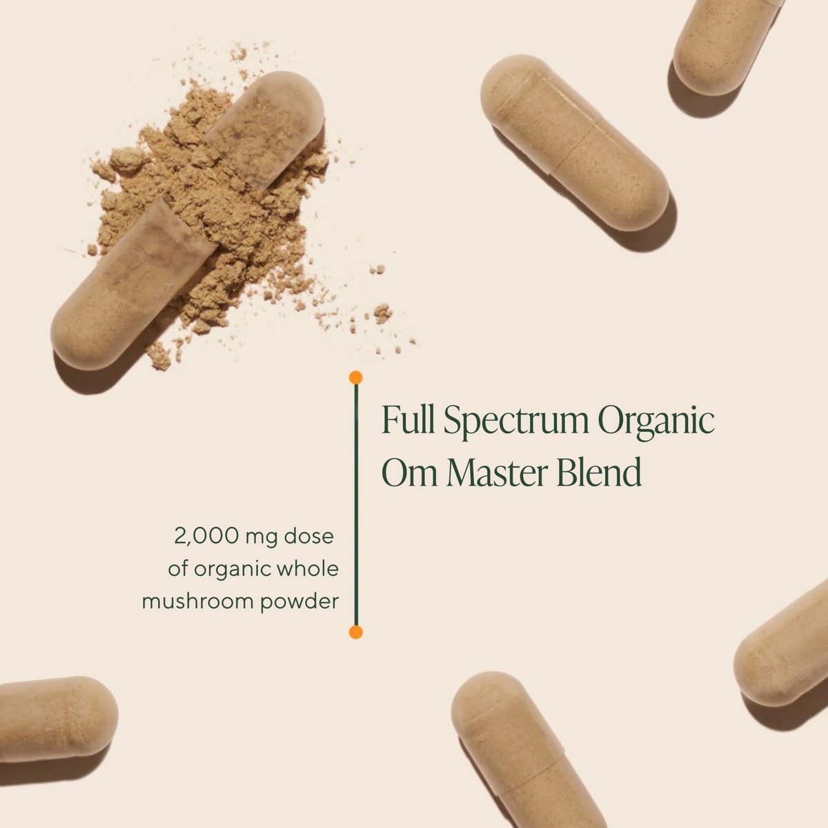 Om Master Blend Bio-Pilzkapseln - Organisches Pilzpräparat mit 10 Pilzen und Ashwagandha – Unterstützt Immunsystem, Darmgesundheit & Stressabbau, 84 Kapseln (28 Portionen)