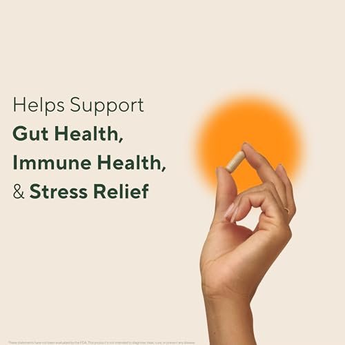 Om Master Blend Bio-Pilzkapseln - Organisches Pilzpräparat mit 10 Pilzen und Ashwagandha – Unterstützt Immunsystem, Darmgesundheit & Stressabbau, 84 Kapseln (28 Portionen)