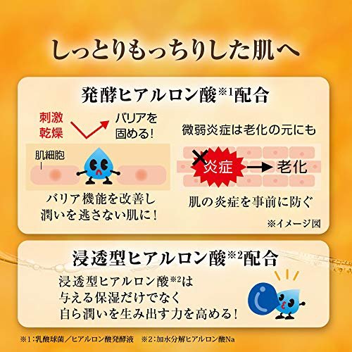 Hada Labo Gokujun Premium Hyaluronsäure Feuchtigkeitsserum Nachfüllpackung 170 ml