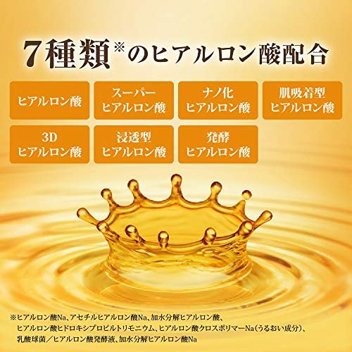 Hada Labo Gokujun Premium Hyaluronsäure Feuchtigkeitsserum Nachfüllpackung 170 ml