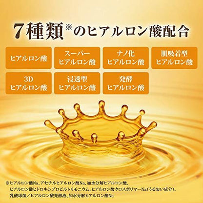Hada Labo Gokujun Premium Hyaluronsäure Feuchtigkeitsserum Nachfüllpackung 170 ml