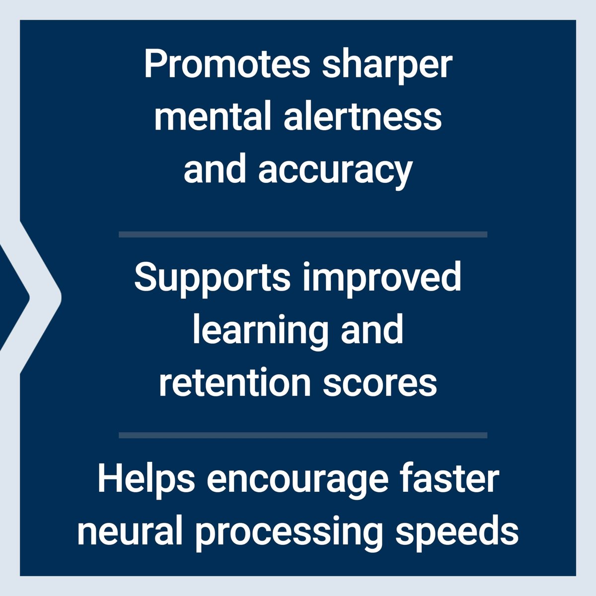 Life Extension Quick Brain Nootropic – Schnelles Denken, Lernen, Konzentration, mit Lutein, Zeaxanthin, Gotu Kola, Bacopa, Glutenfrei, Nicht-GVO, Vegetarisch, 1 täglich, 30 Kapseln