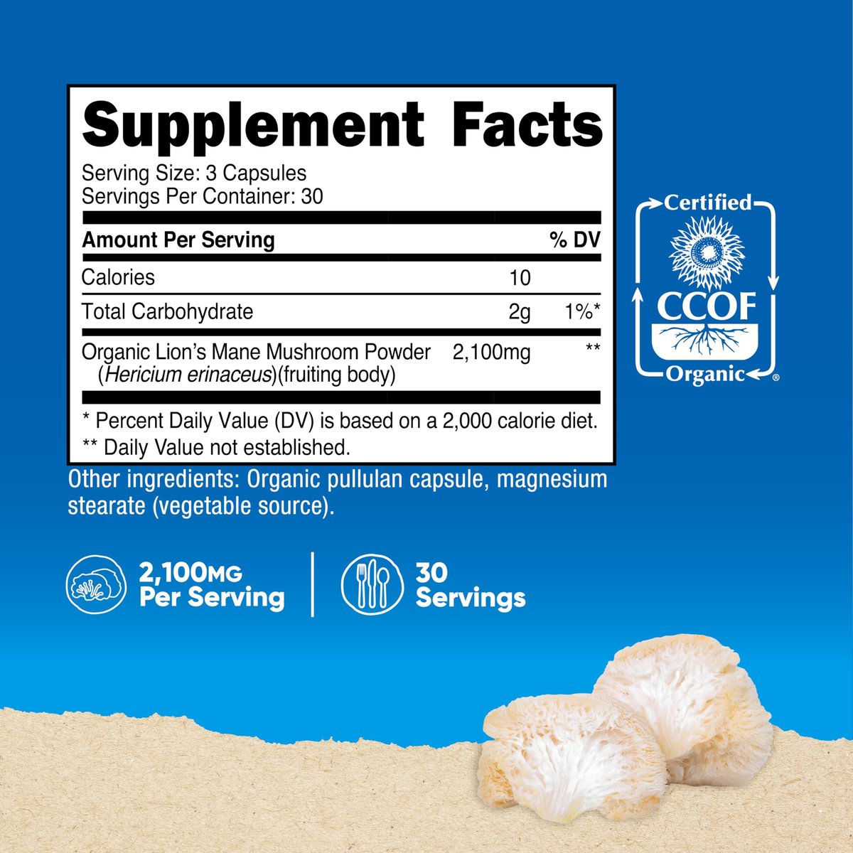 Nutricost Löwenmähne Pilz Kapseln 2100mg, 30 Portionen - CCOF Bio-zertifiziert, vegan, glutenfrei, 700mg pro Kapsel, 90 Kapseln
