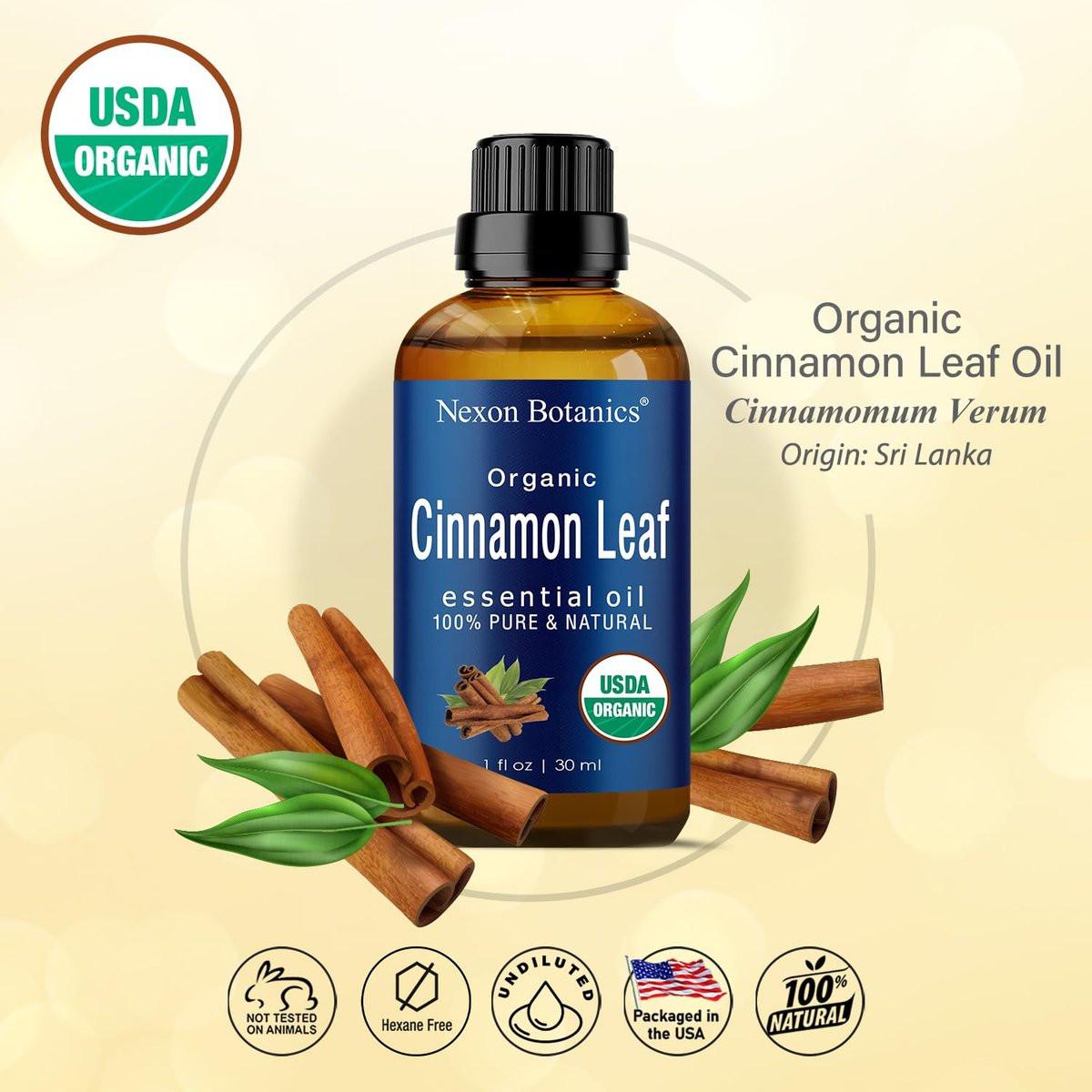 Bio Zimt ätherisches Öl 30 ml - Reines, natürliches Öl für Aromatherapie, Diffuser, DIY, Kerzen- und Seifenherstellung - Nexon Botanics