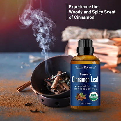Bio Zimt ätherisches Öl 30 ml - Reines, natürliches Öl für Aromatherapie, Diffuser, DIY, Kerzen- und Seifenherstellung - Nexon Botanics