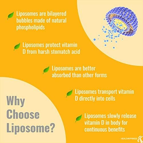 UpNourish Liposomales Vitamin D3 5000 IE Weichkapseln – 1-Jahresvorrat | Mit Bio-Kokosöl angereicherte Vitamin-D-Präparate zur Unterstützung von Knochen-, Zahn-, Herz-, Stimmungs- und Immungesundheit – Nicht-GVO, glutenfrei – 365 Stück