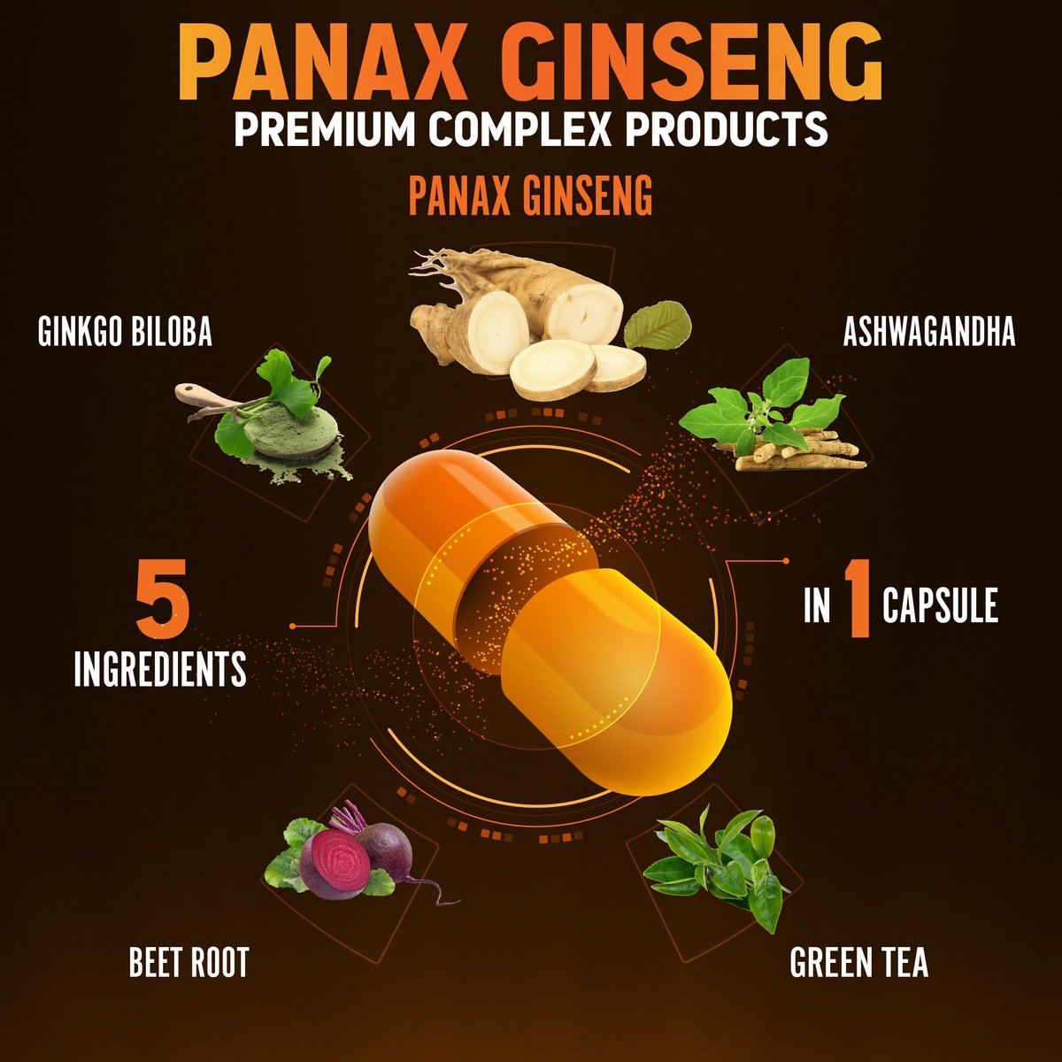 Zolotus Korean Red Panax Ginseng + Ginkgo Biloba, Ashwagandha, Rote Bete, Grüner Tee – 120 Kapseln für 2 Monate