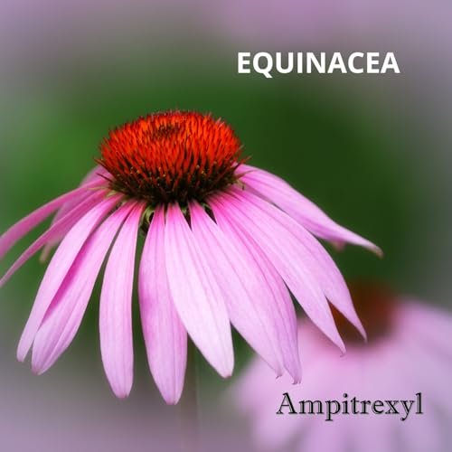 Ampitrexyl Plus – 100 % natürliches Antioxidans, 30 Kapseln, 1000 mg