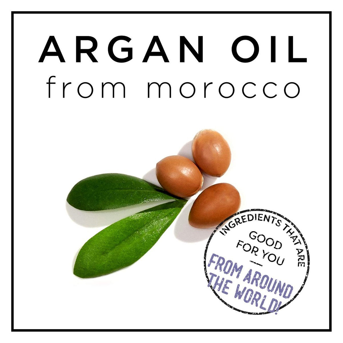 HASK ARGAN Reparierendes Haaröl für Glanz und Frizz-Kontrolle – für alle Haartypen, farbsicher, glutenfrei, sulfatfrei, parabenfrei – Packung mit 2 Flaschen
