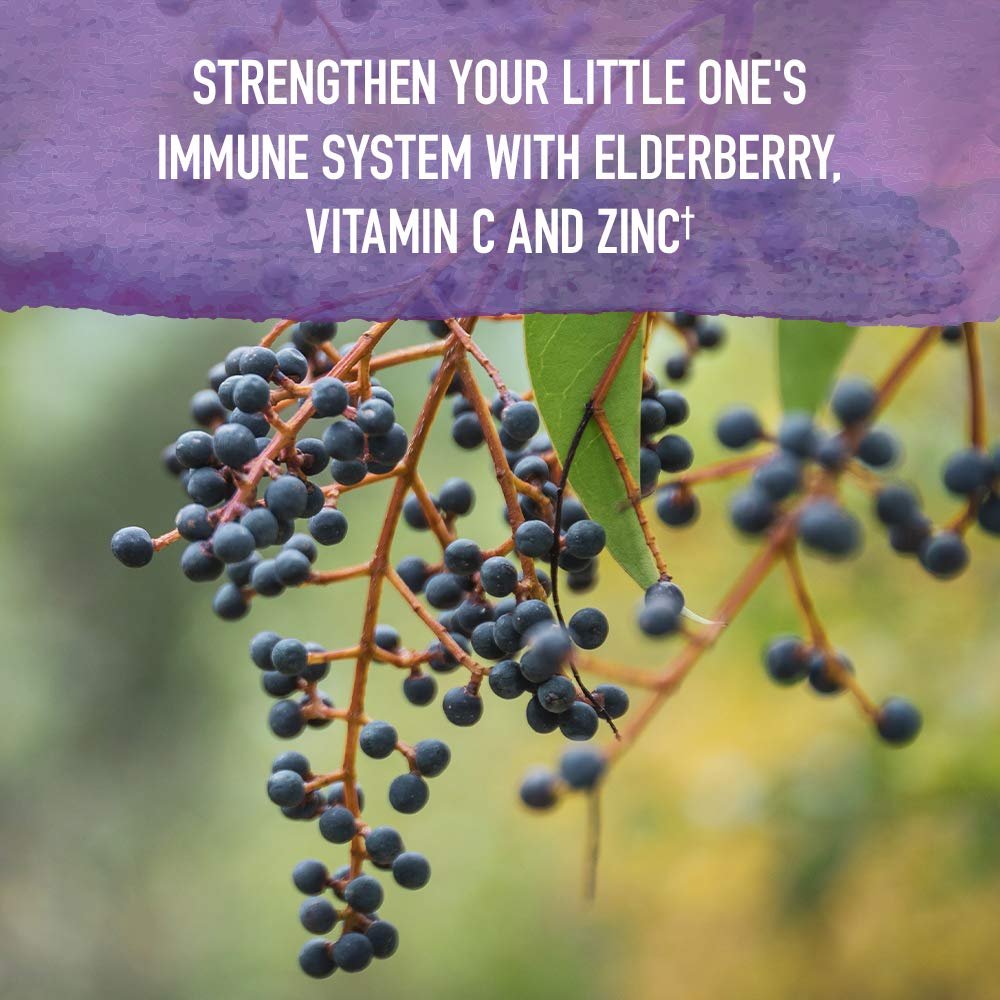 Garden of Life Organics Holunder Immununterstützung für Kinder mit Zink, Vitamin C – Holunder & Schlafimmun-Sirup für Kinder, Kräuter für die Nacht, alkoholfrei, ohne Zuckerzusatz, 116 ml