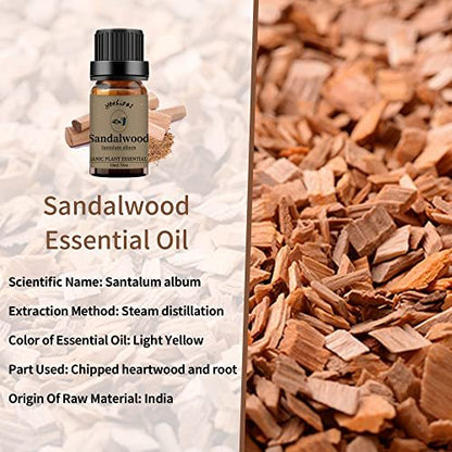 yethious Sandelholz-Vetiver Ätherisches Öl Set 100% Rein Bio Unverdünnt Aromatherapie Öle für Diffuser, Haut, Haare, Parfüm, Seife, Kerzenherstellung 2 x 10 ml