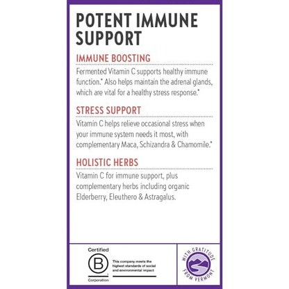 New Chapter® Vitamin C Immunabwehr + Holunderbeere – Hervorragende Vitamin-C-Quelle, tägliche Tablette für gesunde Immununterstützung, mit Bio-Kräutern, nicht genetisch verändert, glutenfrei, 30 Stück