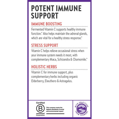 New Chapter® Vitamin C Immunabwehr + Holunderbeere – Hervorragende Vitamin-C-Quelle, tägliche Tablette für gesunde Immununterstützung, mit Bio-Kräutern, nicht genetisch verändert, glutenfrei, 30 Stück