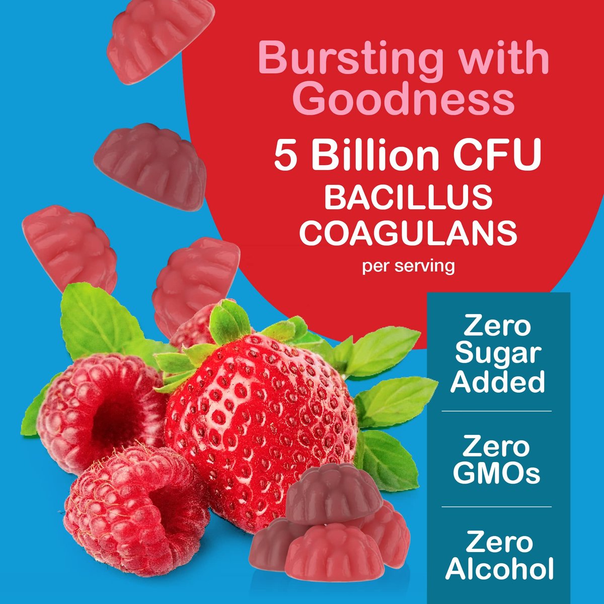 YUM-V'S Zuckerfreie Probiotika Gummis – Probiotika für Männer & Frauen zur Unterstützung der Verdauungsfunktion – Erwachsene & Kinder Probiotikum mit 5 Milliarden KBE Bacillus Coagulans – Vegan & Glutenfrei (60 Stück)