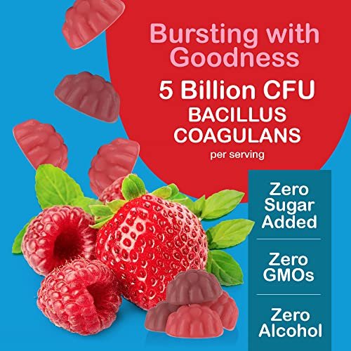 YUM-V'S Zuckerfreie Probiotika Gummis – Probiotika für Männer & Frauen zur Unterstützung der Verdauungsfunktion – Erwachsene & Kinder Probiotikum mit 5 Milliarden KBE Bacillus Coagulans – Vegan & Glutenfrei (60 Stück)