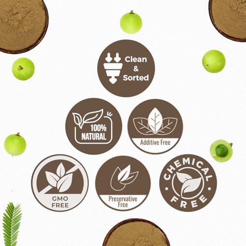 CARMEL ORGANICS Amla/Amlaki (Emblica officinalis) Fruchtpulver (227 g) für Haarpflege, Haut und Wohlbefinden | Natürlich, Nicht GVO | Ohne Zusatzstoffe