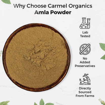 CARMEL ORGANICS Amla/Amlaki (Emblica officinalis) Fruchtpulver (227 g) für Haarpflege, Haut und Wohlbefinden | Natürlich, Nicht GVO | Ohne Zusatzstoffe