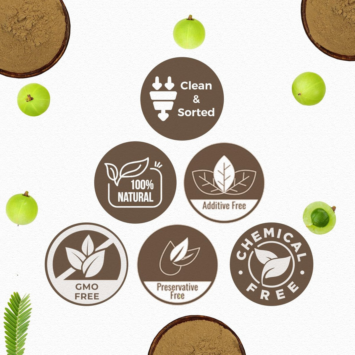 CARMEL ORGANICS Amla/Amlaki (Emblica officinalis) Fruchtpulver (227 g) für Haarpflege, Haut und Wohlbefinden | Natürlich, Nicht GVO | Ohne Zusatzstoffe