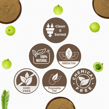 CARMEL ORGANICS Amla/Amlaki (Emblica officinalis) Fruchtpulver (227 g) für Haarpflege, Haut und Wohlbefinden | Natürlich, Nicht GVO | Ohne Zusatzstoffe