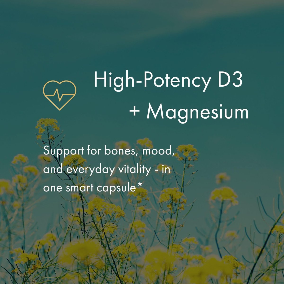 NAOMI Aktiviertes Vitamin D3 5000 IE + Magnesium 250 mg – Unterstützt Knochenstärke, Immunsystem & Muskelentspannung – Cholecalciferol mit Absorptions-Cofaktor, Nicht-GVO, Glutenfrei, 30-Tage-Vorrat
