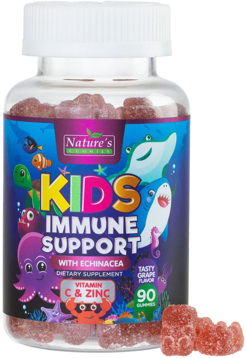 Immununterstützung für Kinder Gummibärchen – Tägliche Vitamine C, Zink & Echinacea für Kinder ab 4 Jahren, natürlicher Beerengeschmack, Non-GMO, glutenfrei & vegan – 90 Gummibärchen