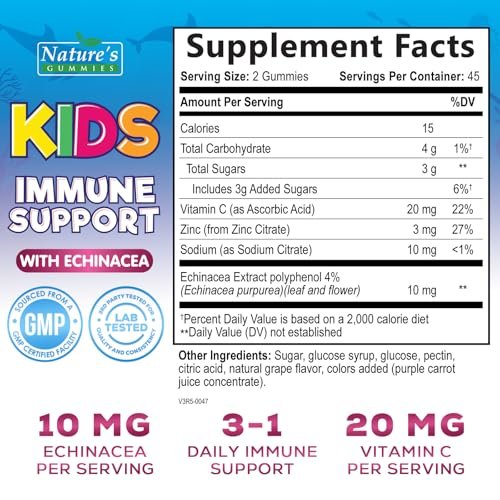 Immununterstützung für Kinder Gummibärchen – Tägliche Vitamine C, Zink & Echinacea für Kinder ab 4 Jahren, natürlicher Beerengeschmack, Non-GMO, glutenfrei & vegan – 90 Gummibärchen