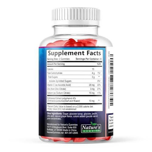 Immununterstützung für Kinder Gummibärchen – Tägliche Vitamine C, Zink & Echinacea für Kinder ab 4 Jahren, natürlicher Beerengeschmack, Non-GMO, glutenfrei & vegan – 90 Gummibärchen