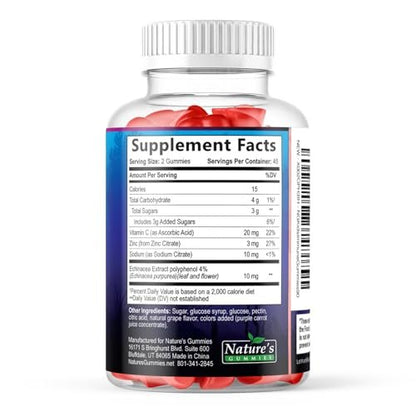 Immununterstützung für Kinder Gummibärchen – Tägliche Vitamine C, Zink & Echinacea für Kinder ab 4 Jahren, natürlicher Beerengeschmack, Non-GMO, glutenfrei & vegan – 90 Gummibärchen