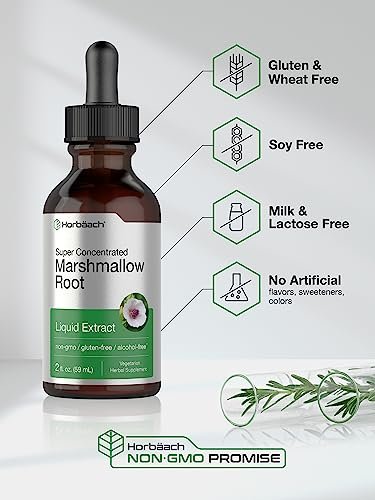 Horbäach Eibischwurzel Extrakt Tinktur | 2 fl oz | Althaea Officinalis Flüssigkeit | Alkoholfrei | Vegetarisch, Nicht-GVO & Glutenfrei