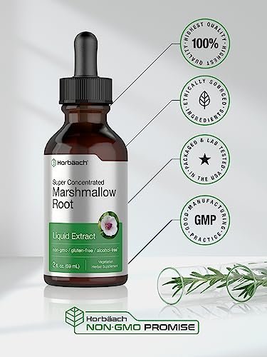 Horbäach Eibischwurzel Extrakt Tinktur | 2 fl oz | Althaea Officinalis Flüssigkeit | Alkoholfrei | Vegetarisch, Nicht-GVO & Glutenfrei