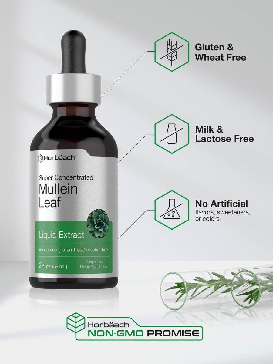 Horbäach Königskerzenblätter Extrakt Tropfen | 60 ml | Alkoholfreie flüssige Tinktur | Vegetarisches, Nicht-GVO & Glutenfreies pflanzliches Nahrungsergänzungsmittel