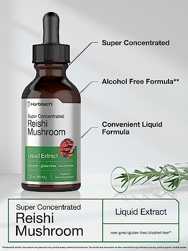 Horbäach Reishi Pilz Extrakt Tinktur | 60 ml | Flüssige Tropfen | Ganoderma Lucidum | Vegan, Alkoholfrei | Nicht-GVO, Glutenfrei Nahrungsergänzungsmittel